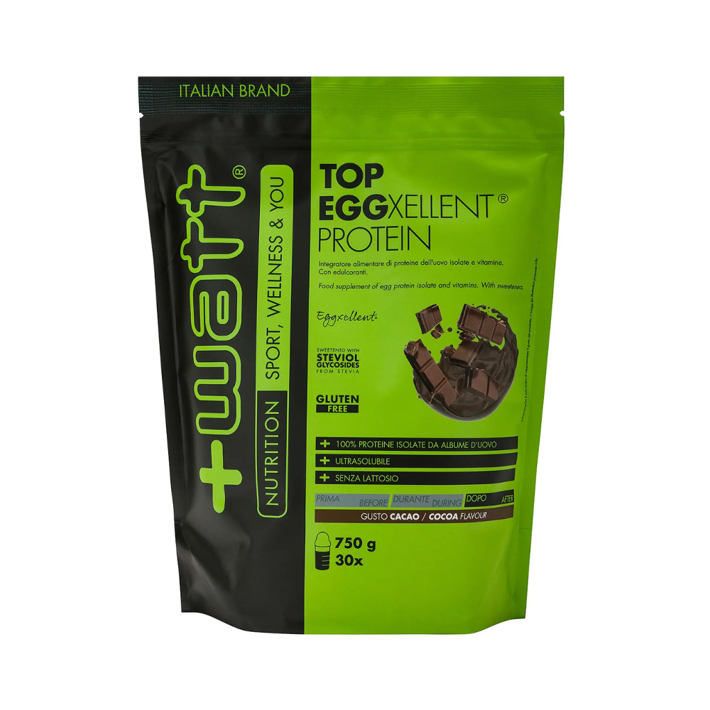 top eggxellent